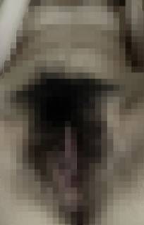 817513.jpg (74KB)