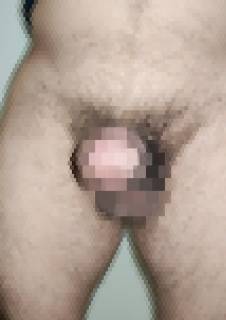 817551.jpg (447KB)