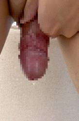 817560.gif (474KB)