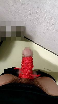 817601.jpg (264KB)