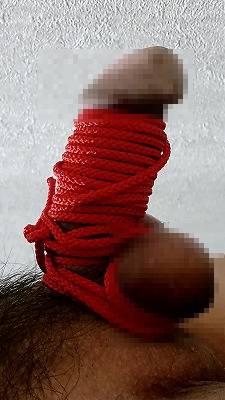 817626.jpg (264KB)