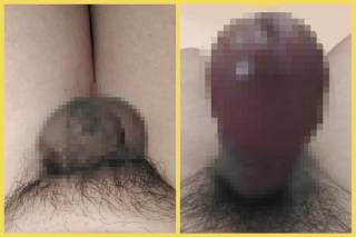 817812.jpg (109KB)