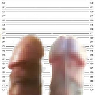 818075.jpg (332KB)