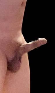 818081.jpg (183KB)