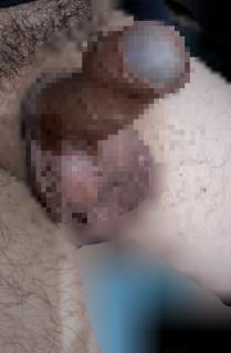 818087.jpg (336KB)