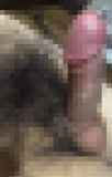 818203.jpg 
								(7KB)
