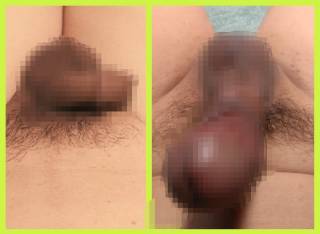 818262.jpg (115KB)