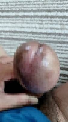 818463.jpg (264KB)