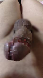 818638.jpg (153KB)