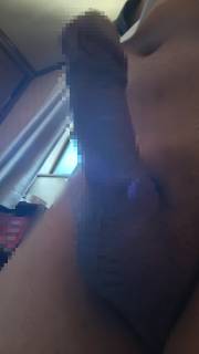 818657.jpg (120KB)