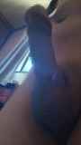 818657.jpg 
								(5KB)