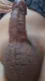 818661.jpg 
								(6KB)