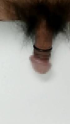 818740.jpg (264KB)