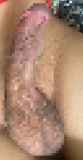 818869.jpg 
								(13KB)