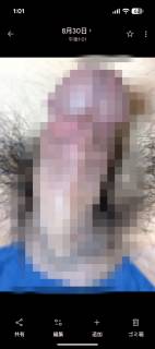819324.jpg (343KB)