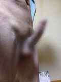 819539.jpg 
								(7KB)