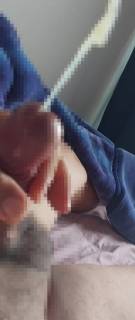 819629.jpg (292KB)