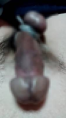 819906.jpg (264KB)